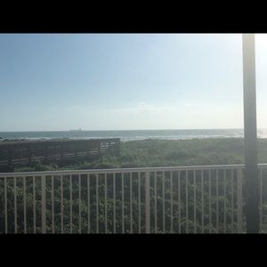 Meet your Posher, Roy